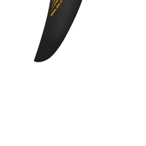 Fast Wave