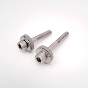 Parafuso inox para Fin Sextavado Interior M6