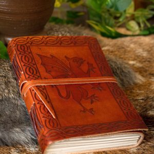 Leren boek met draak
