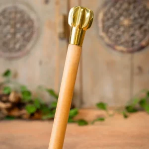 Houten wandelstok met knots